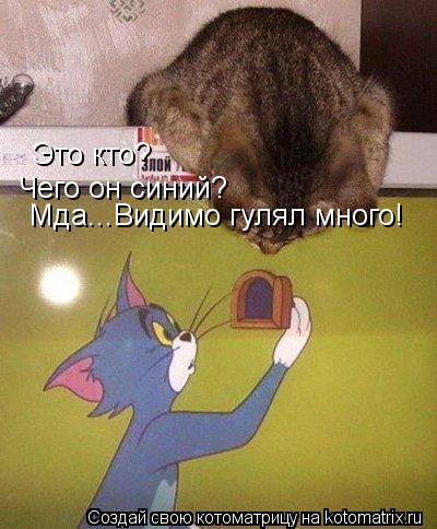 Котоматрица: Это кто? Чего он синий? Мда...Видимо гулял много!
