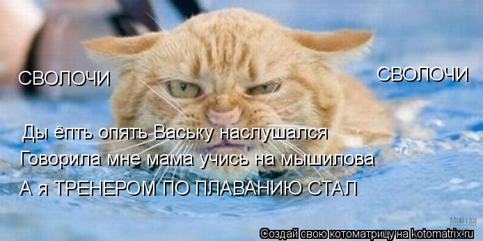 Котоматрица: СВОЛОЧИ СВОЛОЧИ Ды ёпть опять Ваську наслушался Говорила мне мама учись на мышилова А я ТРЕНЕРОМ ПО ПЛАВАНИЮ СТАЛ