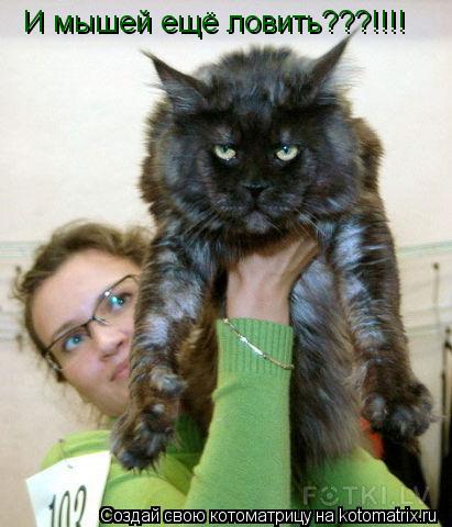 Котоматрица: И мышей ещё ловить???!!!!
