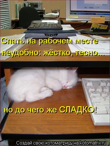Котоматрица: Спать на рабочем месте но до чего же СЛАДКО! неудобно: жёстко, тесно...