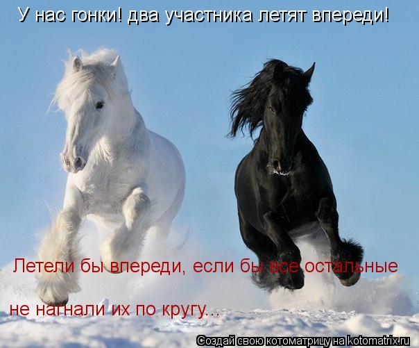 Котоматрица: У нас гонки! два участника летят впереди! Летели бы впереди, если бы все остальные не нагнали их по кругу...