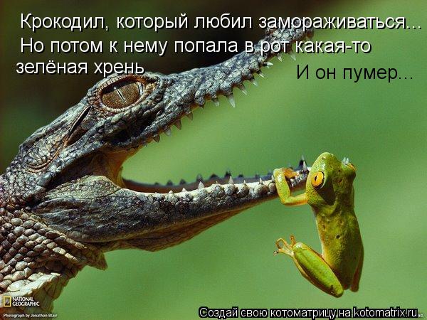 Котоматрица: Крокодил, который любил замораживаться... Но потом к нему попала в рот какая-то  зелёная хрень И он пумер...