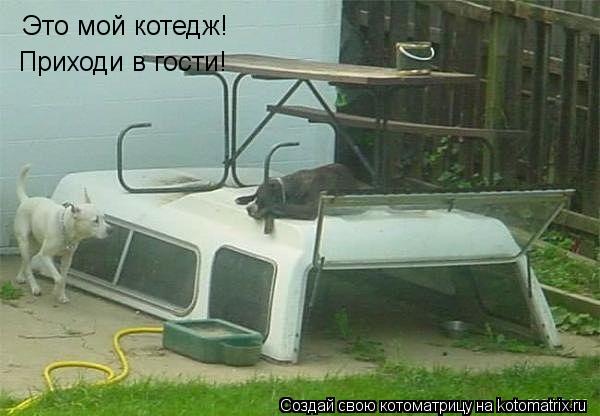Котоматрица: Это мой котедж! Приходи в гости!
