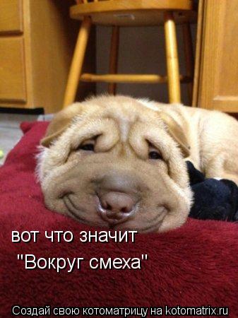 Котоматрица: вот что значит "Вокруг смеха"