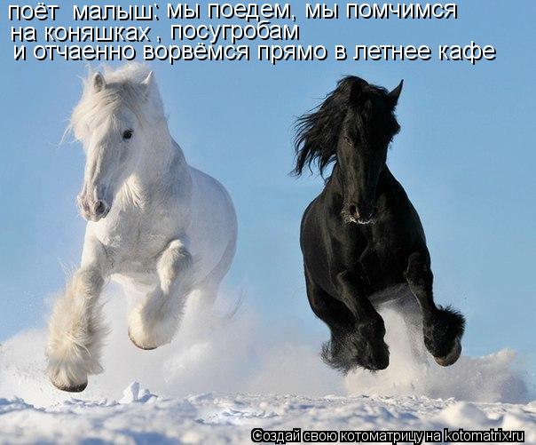 Котоматрица: поёт  малыш: : мы поедем, мы помчимся на коняшках , посугробам и отчаенно ворвёмся прямо в летнее кафе