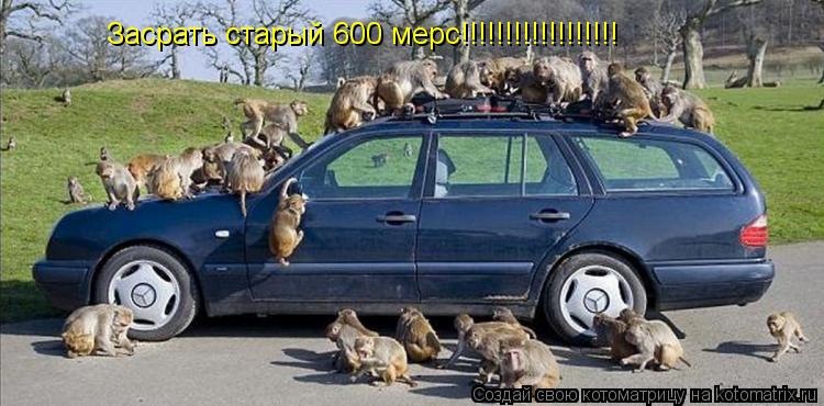 Котоматрица: Засрать старый 600 мерс!!!!!!!!!!!!!!!!!!