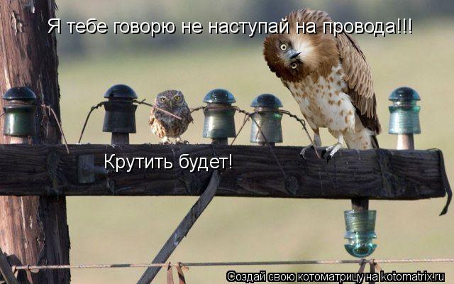 Котоматрица: Я тебе говорю не наступай на провода!!! Крутить будет!