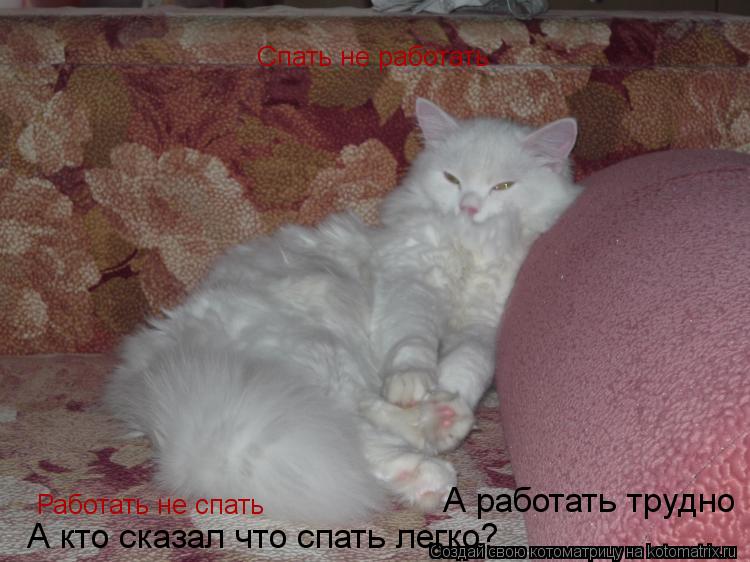 Котоматрица: Спать не работать Работать не спать А кто сказал что спать легко? А работать трудно