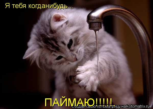Котоматрица: Я тебя когданибудь... ПАЙМАЮ!!!!!.