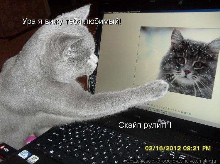 Котоматрица: Ура я вижу тебя любимый! Скайп рулит!!!
