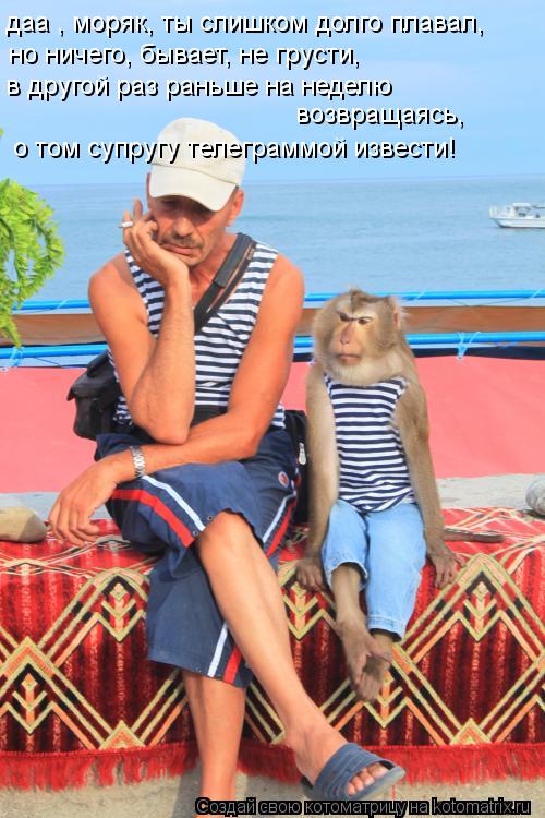 Котоматрица: даа , моряк, ты слишком долго плавал, но ничего, бывает, не грусти, в другой раз раньше на неделю возвращаясь, о том супругу телеграммой извес