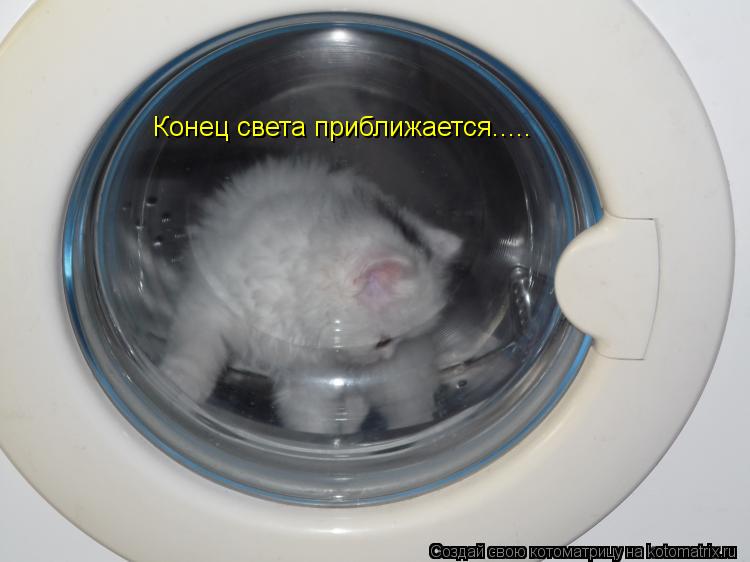 Котоматрица: Конец света приближается.....