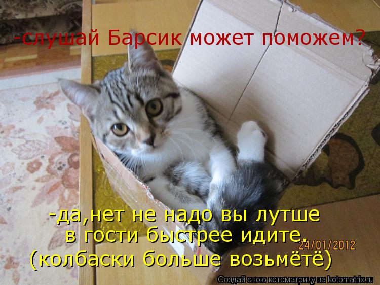 Котоматрица: -слушай Барсик может поможем? -да,нет не надо вы лутше  в гости быстрее идите.  (колбаски больше возьмётё)