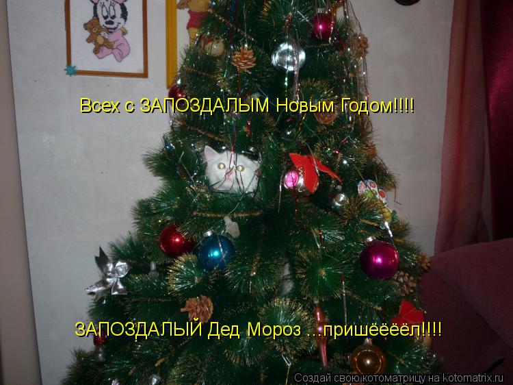Котоматрица: Всех с ЗАПОЗДАЛЫМ Новым Годом!!!! ЗАПОЗДАЛЫЙ Дед Мороз ...пришёёёёл!!!!