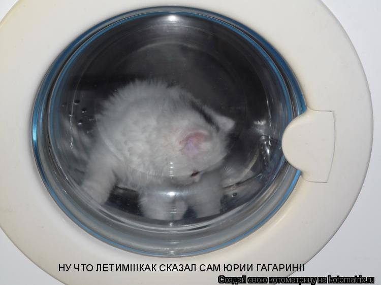 Котоматрица: НУ ЧТО ЛЕТИМ!!!КАК СКАЗАЛ САМ ЮРИИ ГАГАРИН!!