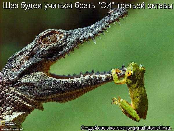 Котоматрица: Щаз будеи учиться брать "СИ" третьей октавы...