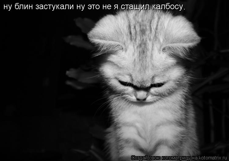 Котоматрица: ну блин застукали ну это не я стащил калбосу .