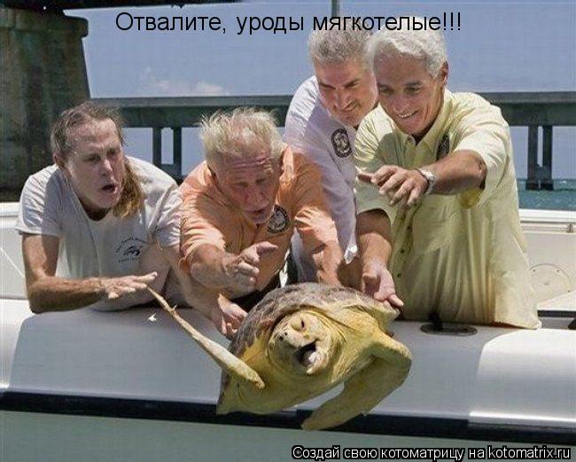 Котоматрица: Отвалите, уроды мягкотелые!!!