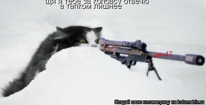 Котоматрица: щя я тебе за колбасу отвечю а тапком лишнее ак-47