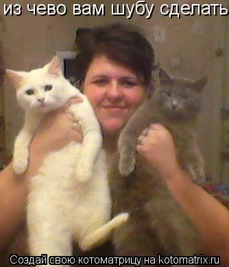 Котоматрица: из чево вам шубу сделать