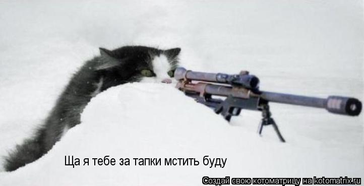 Котоматрица: Ща я тебе за тапки мстить буду