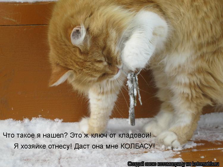 Котоматрица: Что такое я нашел? Это ж ключ от кладовой! Я хозяйке отнесу! Даст она мне КОЛБАСУ!
