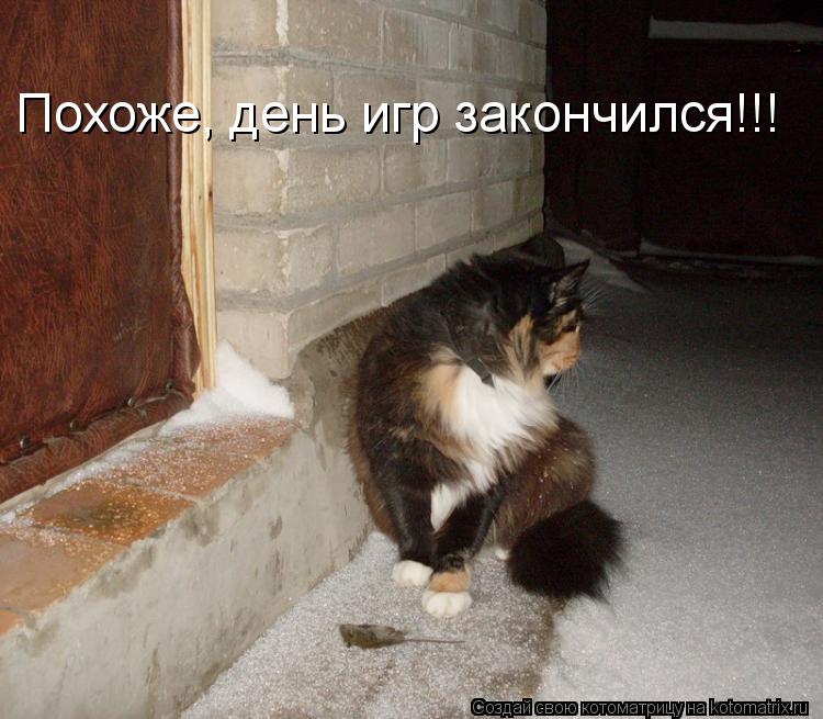 Похоже, день игр закончился!!!... Котоматрица: Похоже, день игр закончился!!!