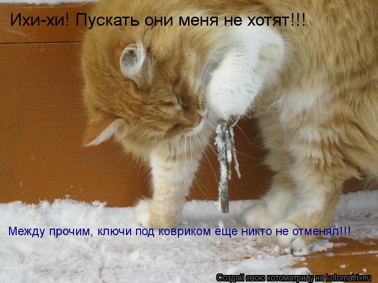 Ихи-хи! Пускать они меня не хотят!!! Между прочим, ключи под ковриком еще никто не отменял!!!... Котоматрица: Ихи-хи! Пускать они меня не хотят!!! Между прочим, ключи под ковриком еще никто не отменял!!!
