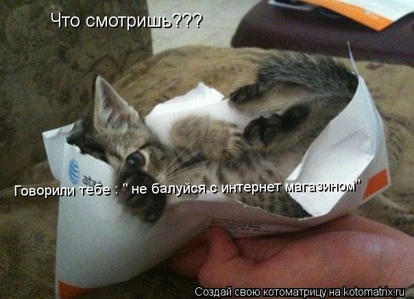 Котоматрица: Что смотришь??? Говорили тебе : " не балуйся с интернет магазином"