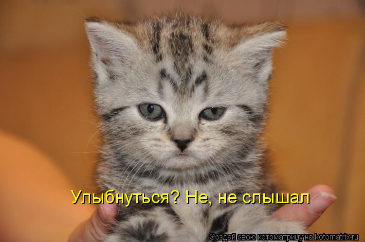 Котоматрица: Улыбнуться? Не, не слышал