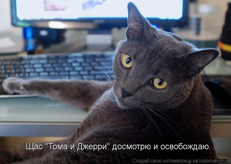 Котоматрица: Щас "Тома и Джерри" досмотрю и освобождаю.