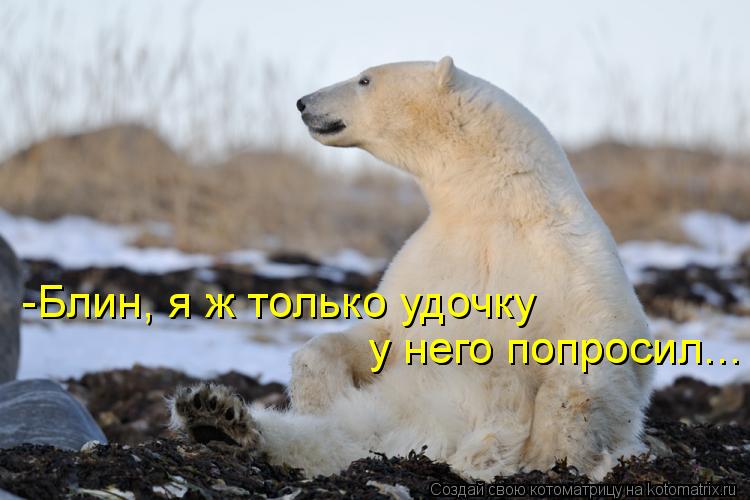 Котоматрица: у него попросил... у него попросил... -Блин, я ж только удочку