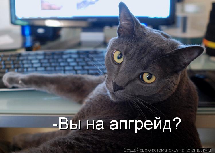 Котоматрица: -Вы на апгрейд?