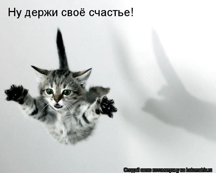 Котоматрица: Ну держи своё счастье!