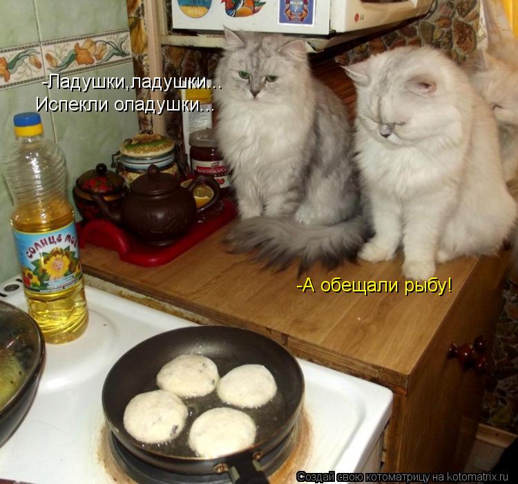 Котоматрица: Испекли оладушки... -Ладушки,ладушки... -А обещали рыбу!