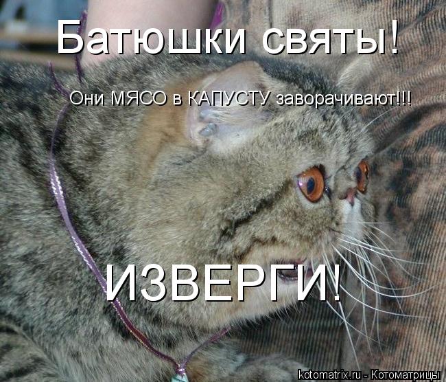 Котоматрица: Батюшки святы! Они МЯСО в КАПУСТУ заворачивают!!! ИЗВЕРГИ!