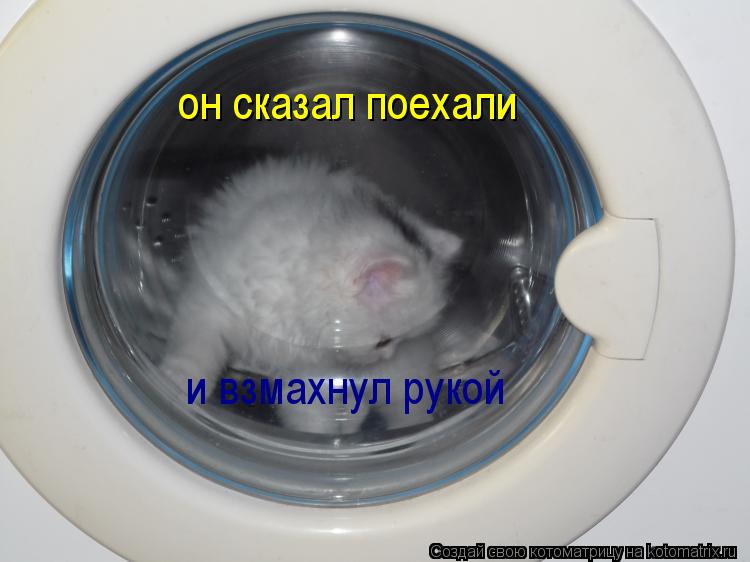 Котоматрица: он сказал поехали и взмахнул рукой