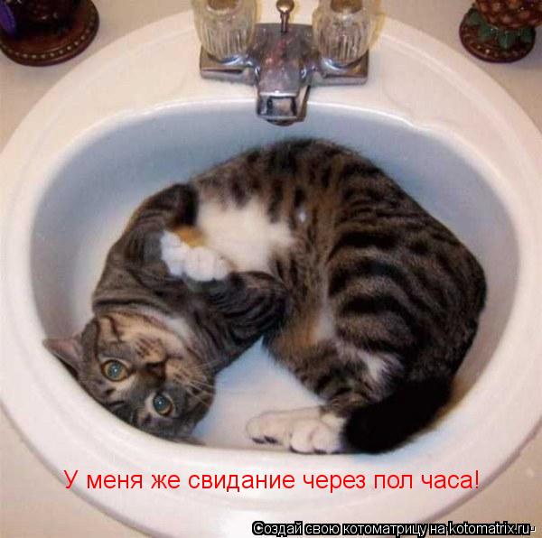 Котоматрица: У меня же свидание через пол часа!