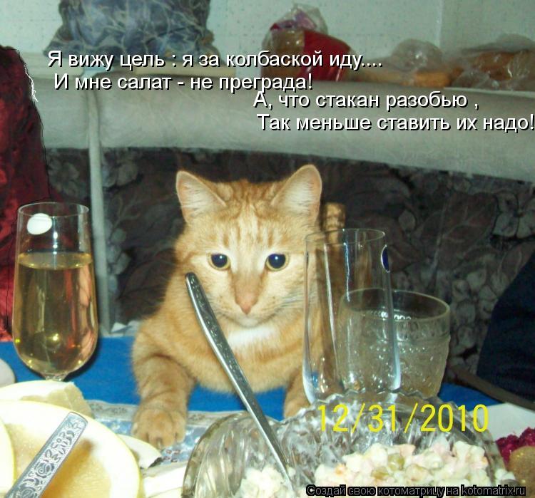 Котоматрица: Я вижу цель : я за колбаской иду.... И мне салат - не преграда! А, что стакан разобью , Так меньше ставить их надо!