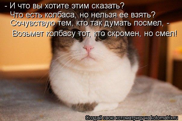 Котоматрица: - И что вы хотите этим сказать? Что есть колбаса, но нельзя ее взять? Сочувствую тем, кто так думать посмел, - Возьмет колбасу тот, кто скромен, 