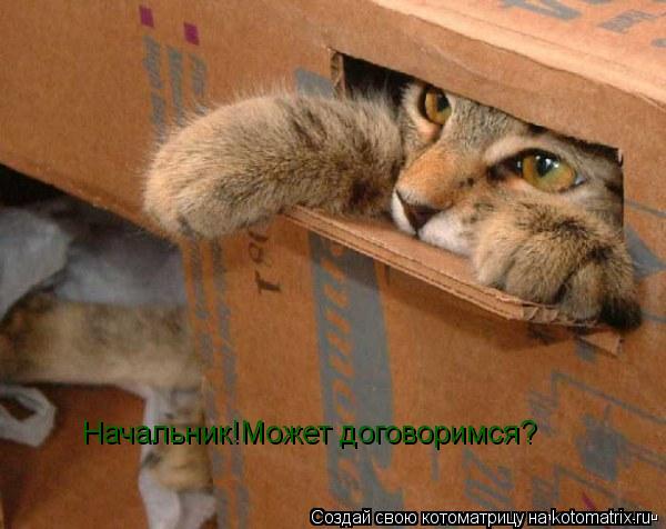 Котоматрица: Начальник!Может договоримся?