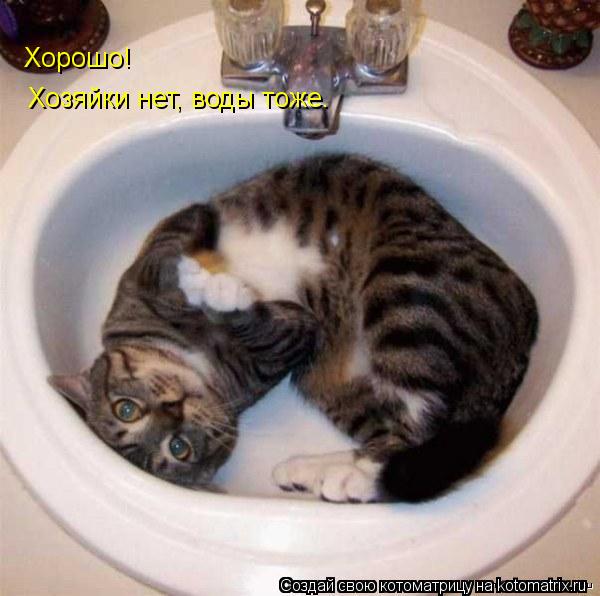 Котоматрица: Хорошо! Хозяйки нет, воды тоже.