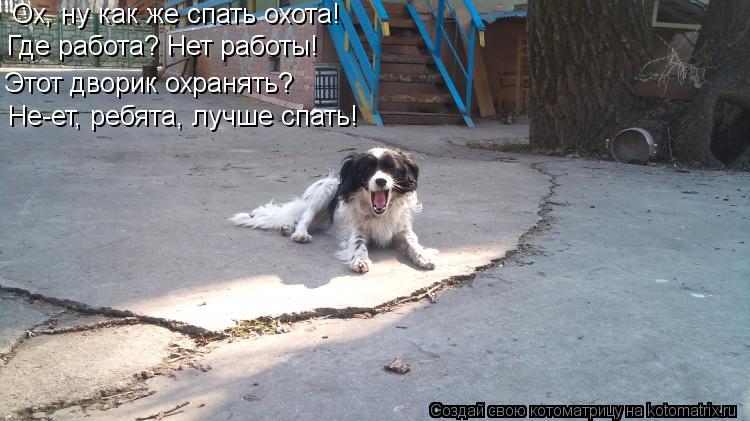 Котоматрица: Ох, ну как же спать охота! Где работа? Нет работы! Этот дворик охранять? Не-ет, ребята, лучше спать!