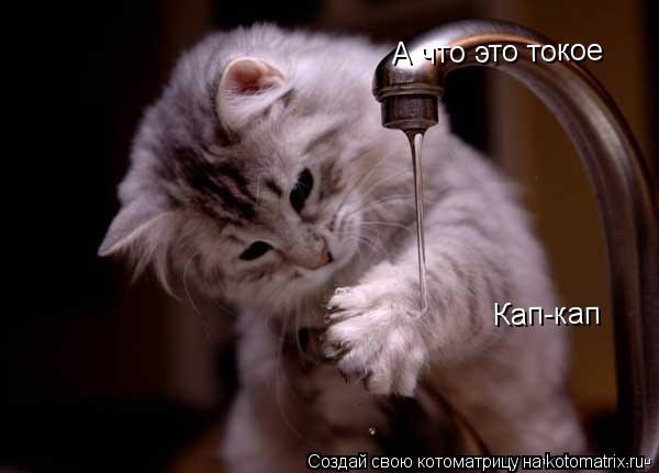 Котоматрица: Кап-кап А что это токое