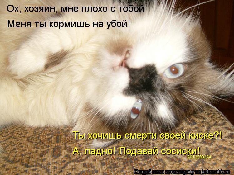Котоматрица: Ох, хозяин, мне плохо с тобой Меня ты кормишь на убой! Ты хочишь смерти своей киске?! А, ладно! Подавай сосиски!