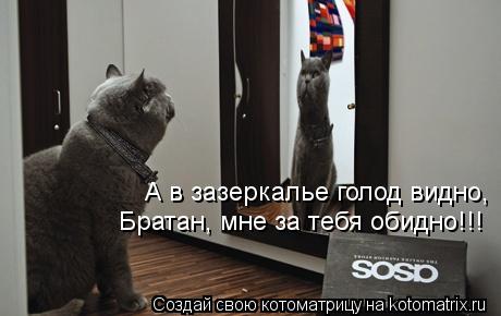 А в зазеркалье голод видно, Братан, мне за тебя обидно!!!... Котоматрица: А в зазеркалье голод видно, Братан, мне за тебя обидно!!!