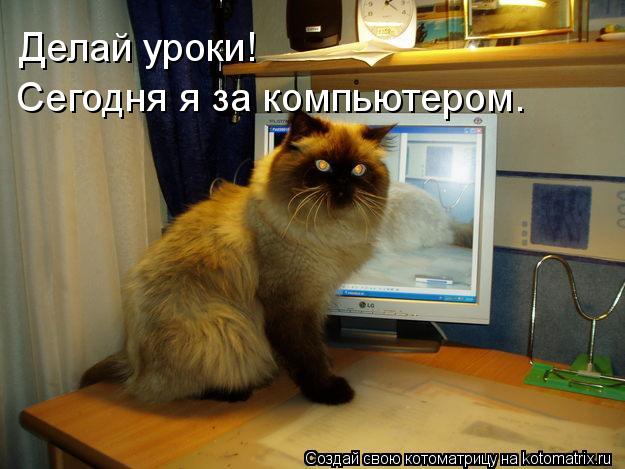 Котоматрица: Делай уроки! Сегодня я за компьютером.