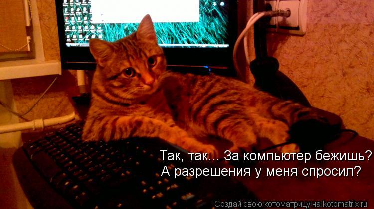 Котоматрица: Так, так... За компьютер бежишь? А разрешения у меня спросил?