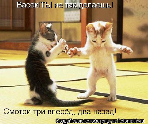 Котоматрица: Васёк!ТЫ не так делаешь! Смотри:три вперёд, два назад!