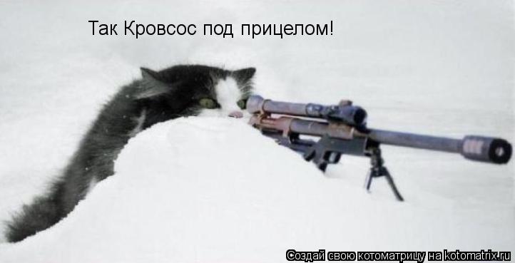 Так Кровсос под прицелом!... Котоматрица: Так Кровсос под прицелом!